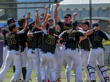 Team sports